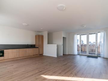 Bezuidenhout, Den Haag, Den Haag, Zuid-Holland