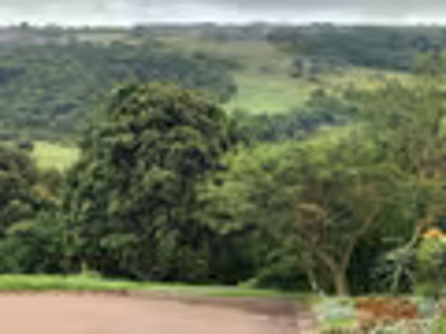House Cotswold Downs Golf & Country Estate Cotswold Downs Golf & Country Estate 103877791