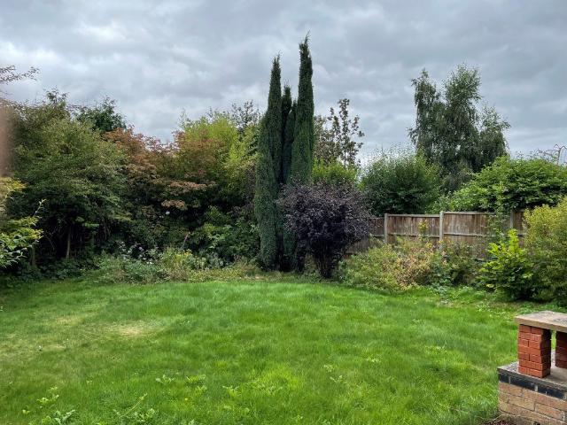 house for rent