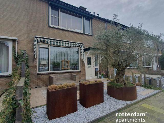 House for rent