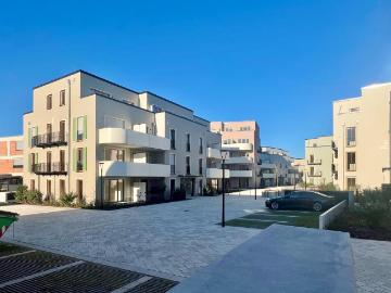 Lämmerspiel, Taunus, Rheinland-Pfalz - Keller