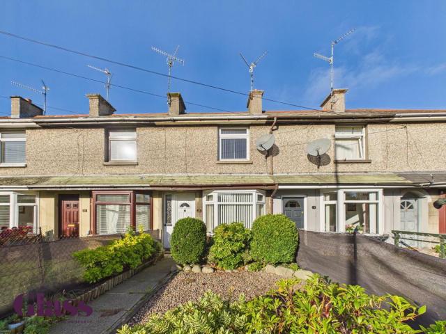house for rent in 7 Seagoe Road, Portadown, Craigavon, BT63 5HW