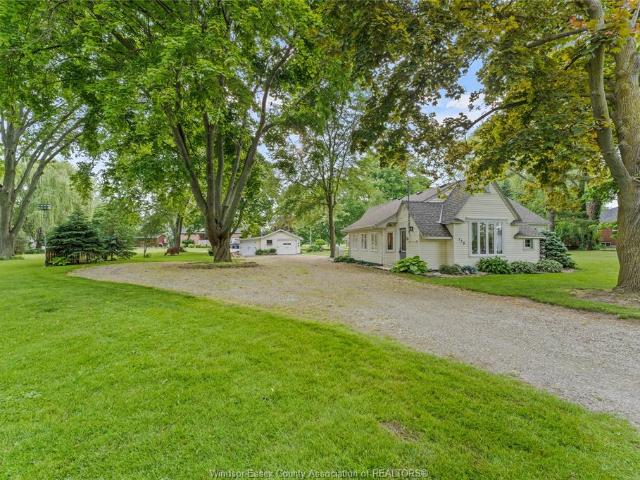house for rent in 115 Park Street Harrow, Ontario