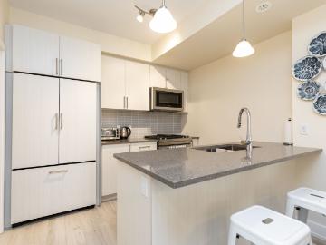 house for rent in 3 Elsie Lane, Toronto, ON