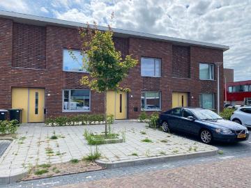 Olland, Meierijstad, Noord-Brabant - IUitgeruste keuken