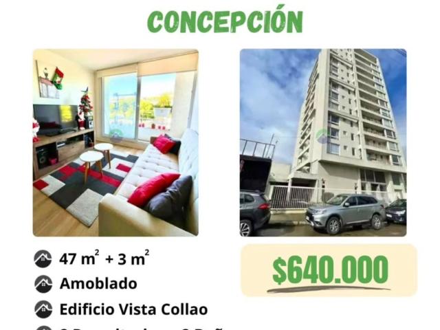 house for rent in Concepción, CONCEPCIÓN