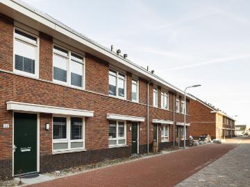 Olland, Meierijstad, Noord-Brabant - Tuin