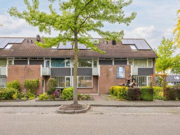 house for rent in Kapittelstraat 43 4614EK Bergen op Zoom Meilust Noord Bergen op Zoom