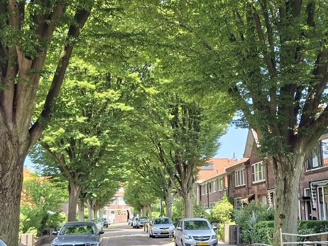 House for rent in Leiden