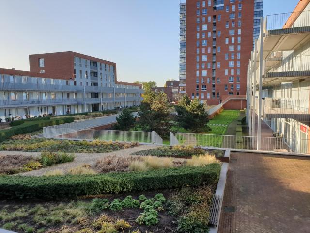 House for rent in Leiden
