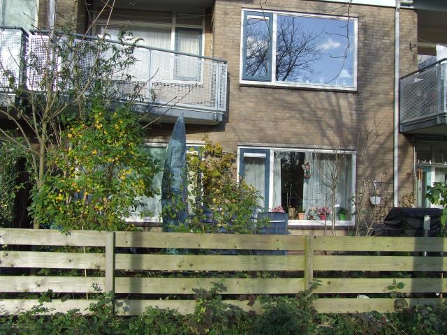 House for rent in Lisse