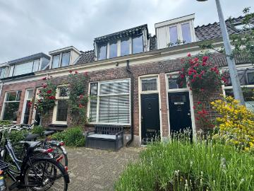 Wilhelminapark, Hagelbuurt