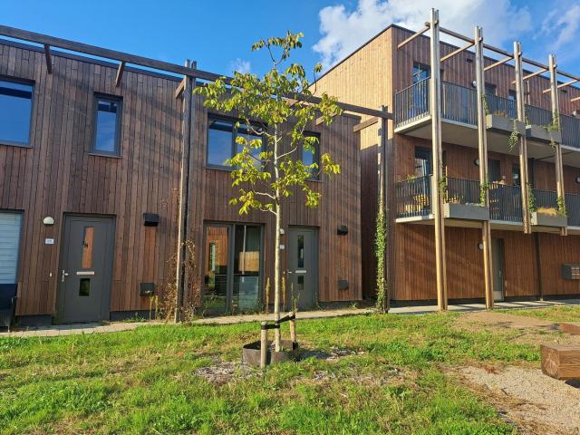 house for rent in Overakker 10 5629 CM Eindhoven Castiliëlaan