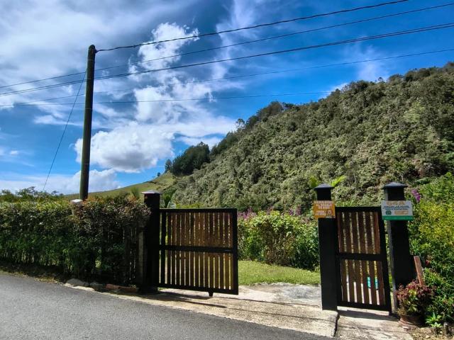 house for rent in Rionegro