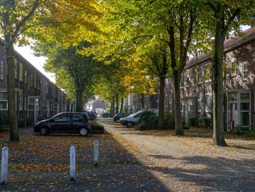 Rijnsburg, Katwijk, Zuid-Holland, Zuid-Holland