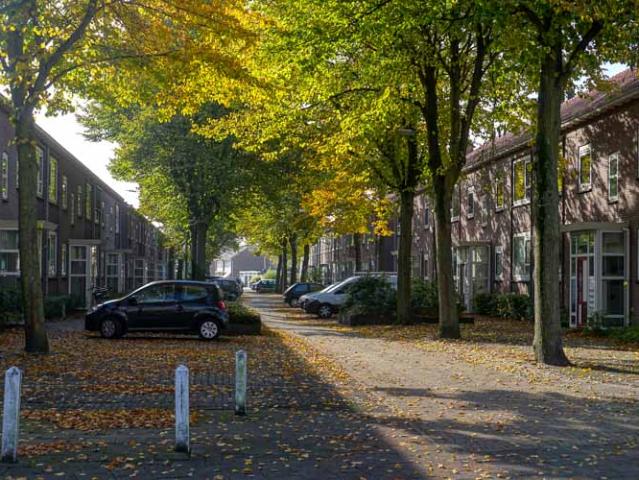 House for rent in Rijnsburg