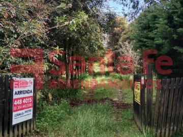 house for rent in Santa Elena