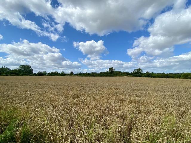 house for rent in Saffron Crescent, Tickhill, Doncaster
