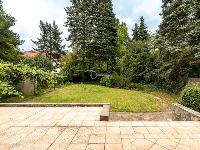 house for rent international pl mazowieckie, Warszawa, Żoliborz