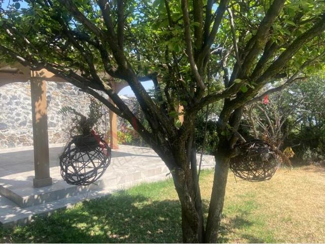 house in Calle Benito Juárez 9A, San Andrés Totoltepec, 14400 Tlalpan, CDMX, México