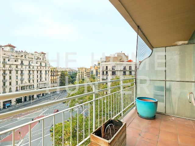 house in MALLORCA / PASEO SANT JOAN