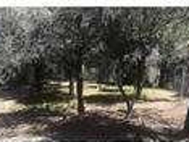 House in quiet area, spacious with big kitchen