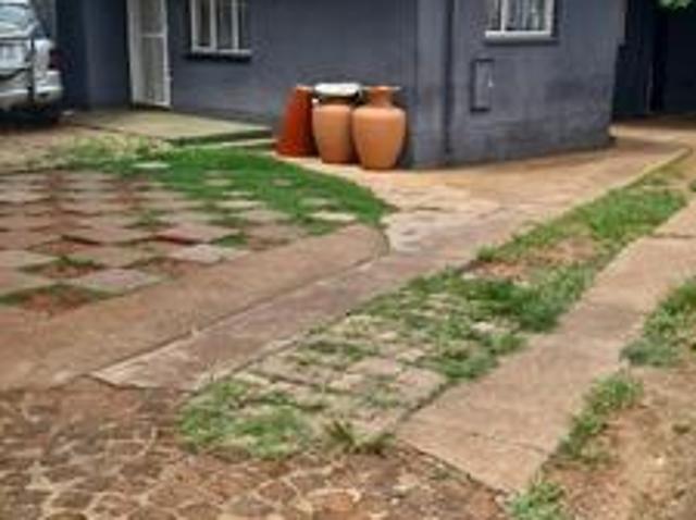 house on the market in sophiatown