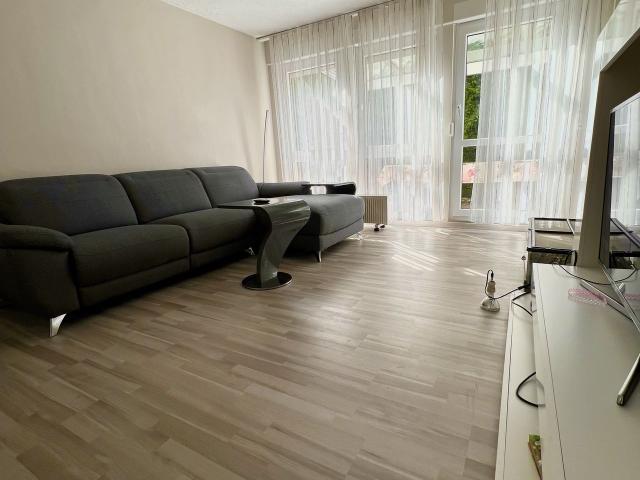House only for you. Two Bathrooms. Fully furnished, with great terrace,garden, parking space, Stuttgart Amsterdam Apartments for Rent
