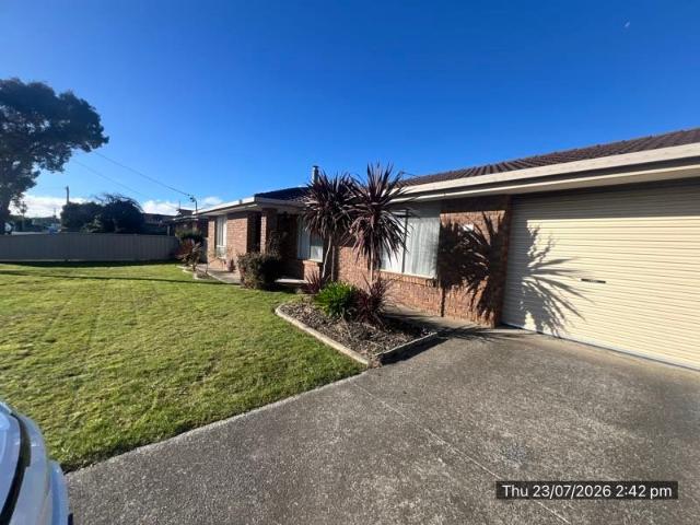 House Shearwater