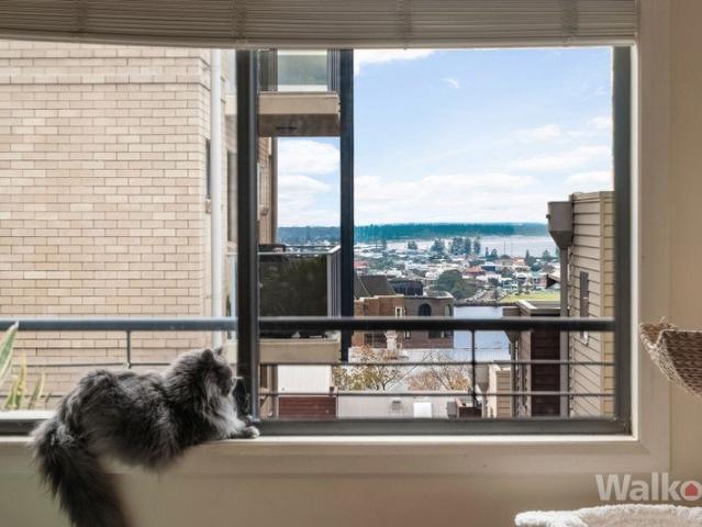 House Sized Living, Harbour Views, Walk Everywhere Lifestyle