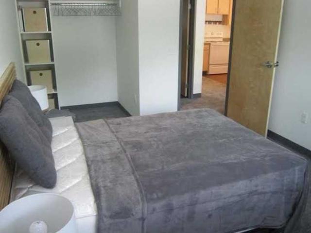 Humbucker Apartments 1 Bedroom Apartment for Rent at 1216 Spring St, Madison, WI 53715