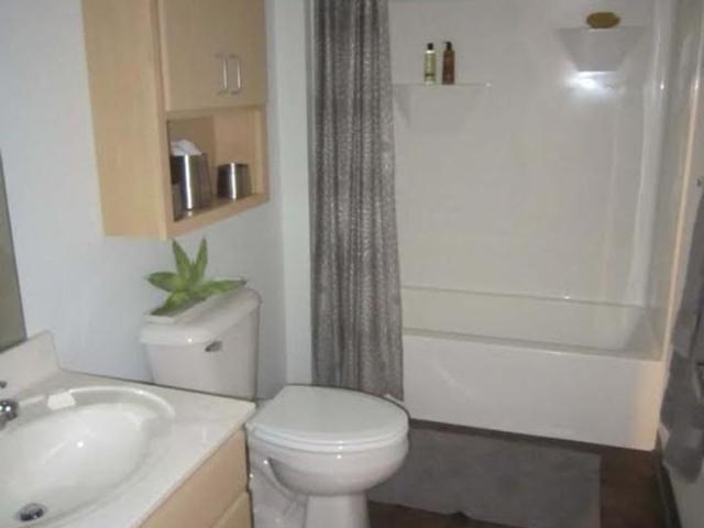 Humbucker Apartments 2 Bedroom Apartment for Rent at 1216 Spring St, Madison, WI 53715