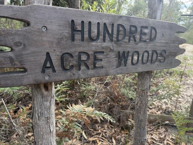 HUNDRED ACRE WOODS