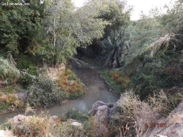 HUERTA CON CASA Y OLIVOS