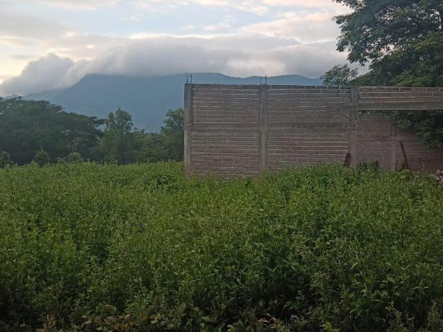 Huerta de Lim?n Persa en VENTA en el Ejido Benito Ju?rez, Villaflores