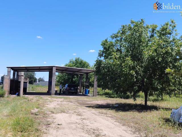 Huerta en Venta en Las Tlazoleras Durango