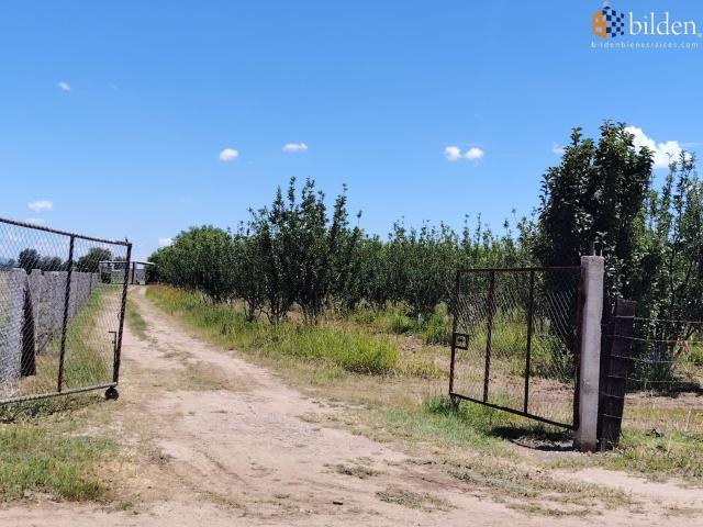 Huerta en Venta en Las Tlazoleras Durango