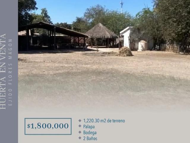 HUERTA EN VENTA EJIDO FLORES MAGÓN