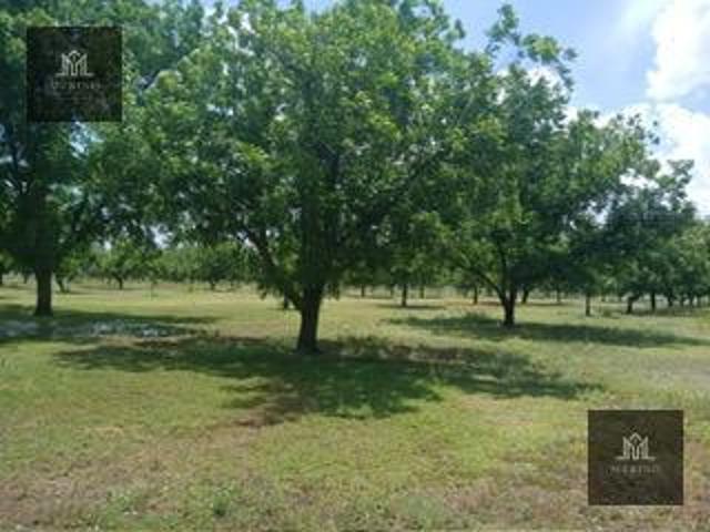 HUERTA NOGALERA EN VENTA EN VILLA CORONADO CHIHUAHUA
