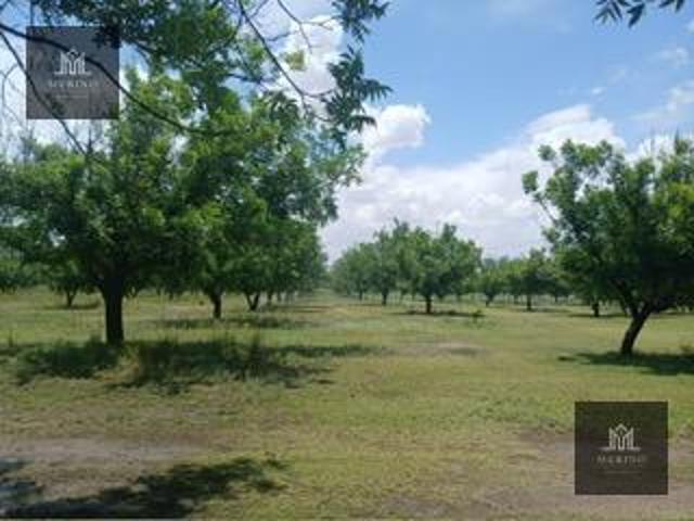 HUERTA NOGALERA EN VENTA EN VILLA CORONADO CHIHUAHUA