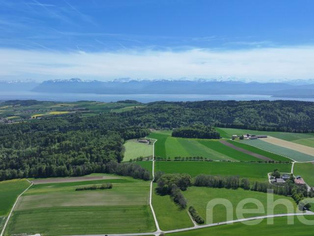 HUF HAUS Villa mit See und Alpenblick