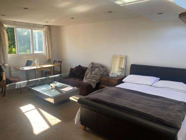 Huge, beautiful Studio with kitchen & bathroom
