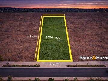 Huge Blank Canvas !