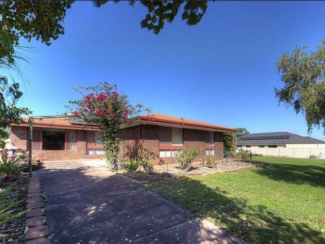 Huge Family Living on a Massive 1,655m² Block Wattle Grove Primary School Zone!