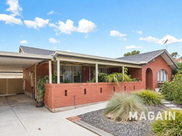 Huge Shed & Entertainer's Dream