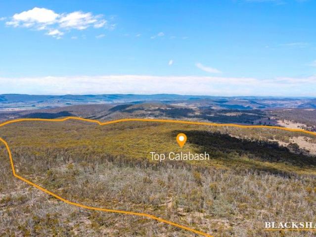 Huge 650 Acre Wildlife and Wilderness Property