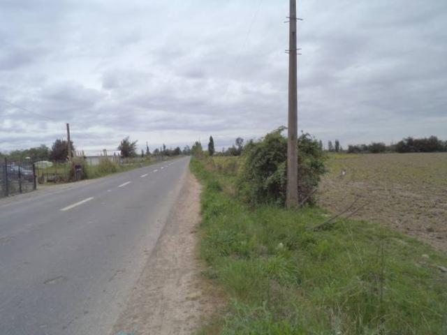 HUIMEO, LONGAVÍ