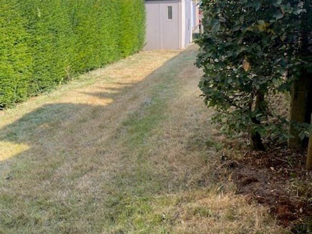 Huis met 2 slaapkamers in Temse