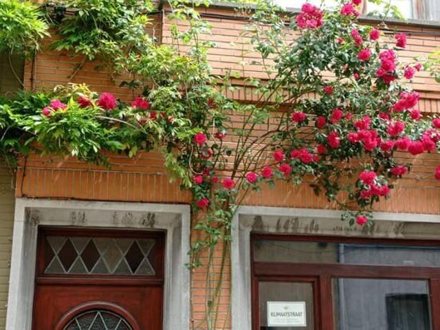Huis met 3 slaapkamers en EPC B in Gent