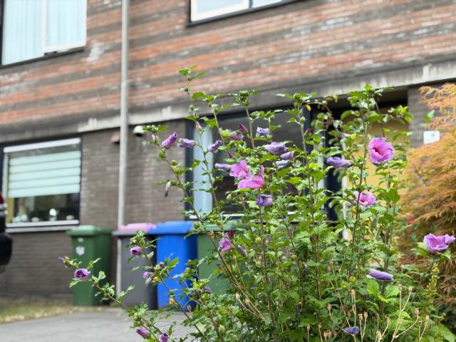 huis in Delft, Leharlaan